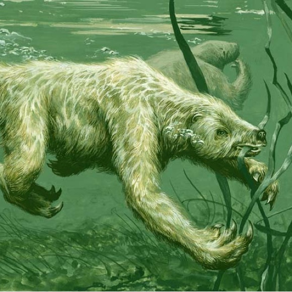 megafauna2